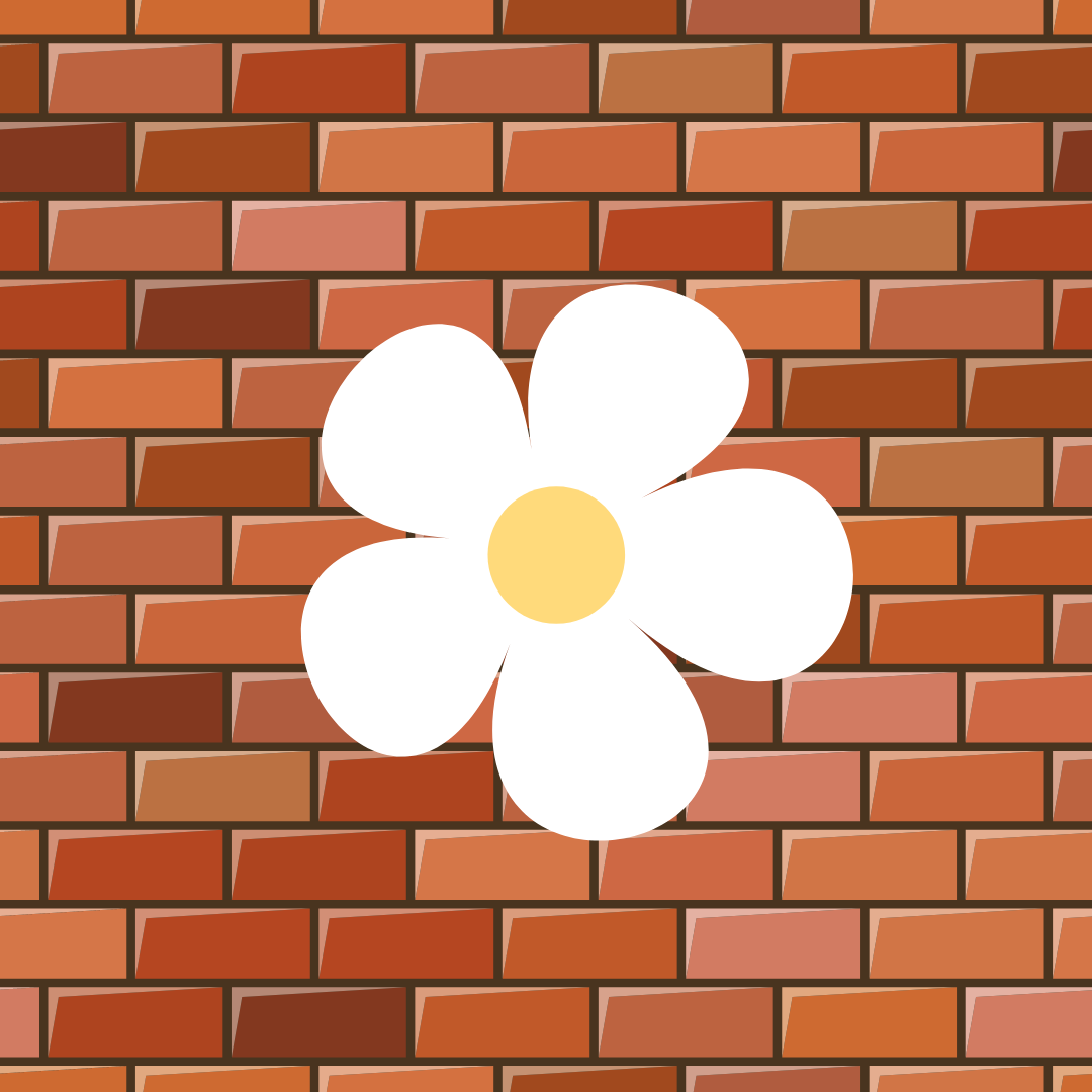 Wall Flower