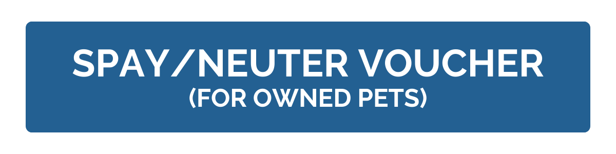 Request a Voucher