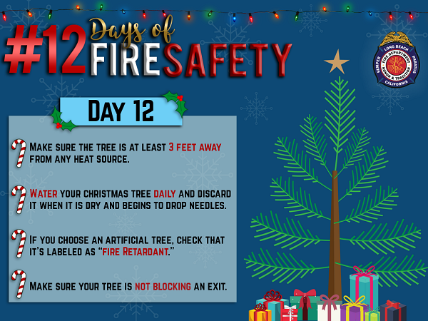 RESIZE 12 Days - Day 12