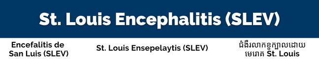 St. Louis encephalitis virus