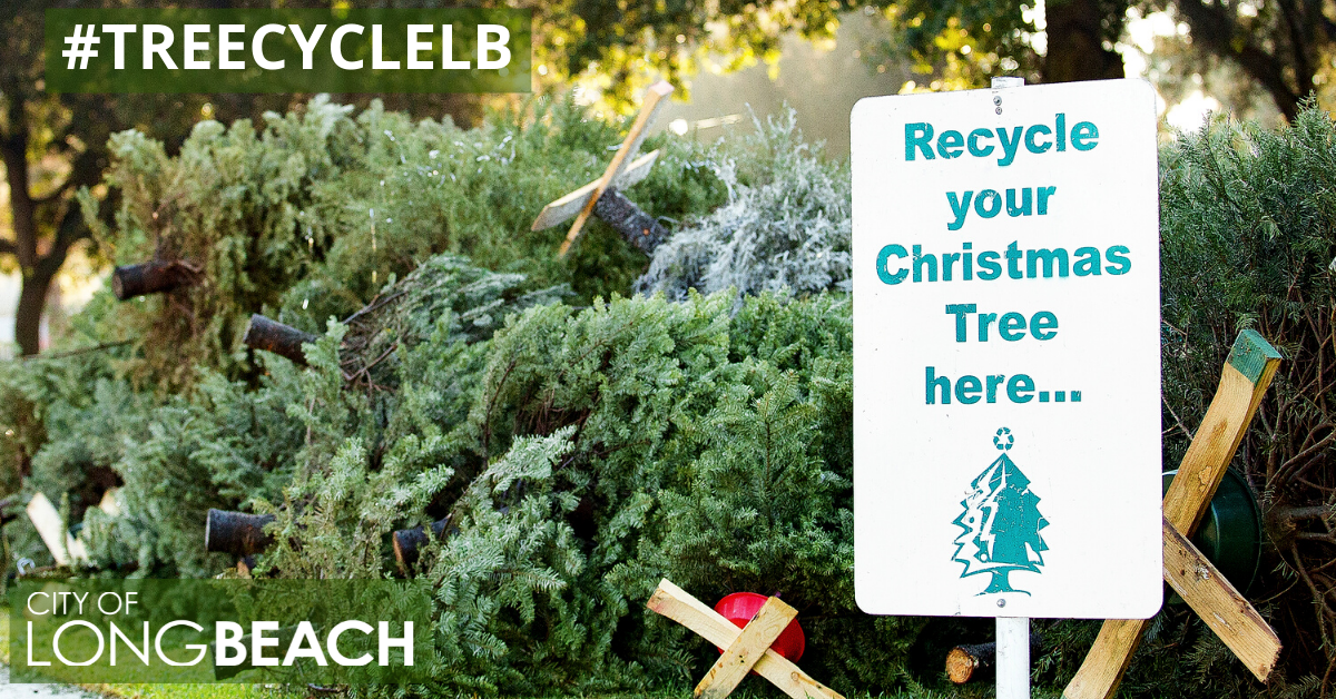 #TREECYCLELB
