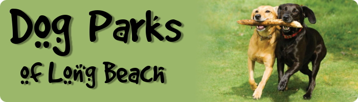 DP_banner DP_banner