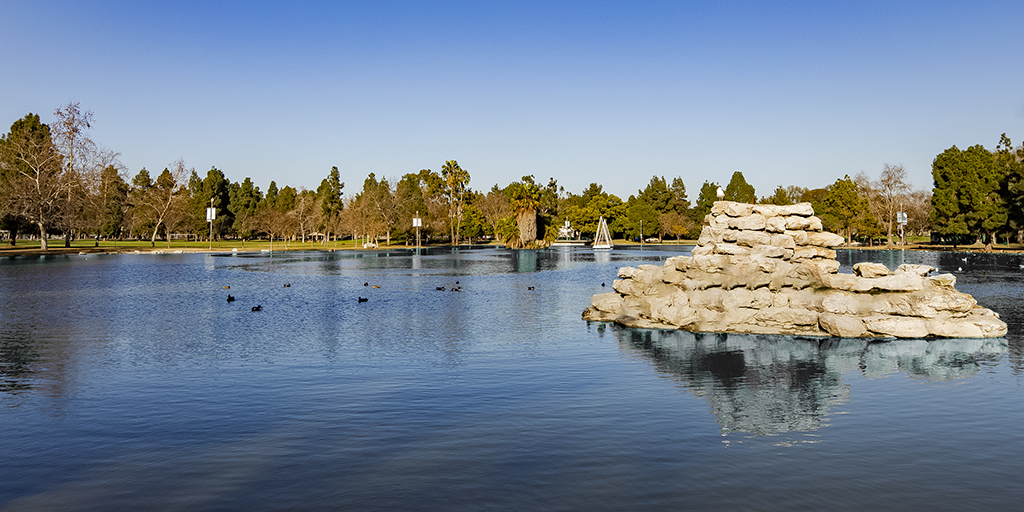 El Dorado Duck Pond News