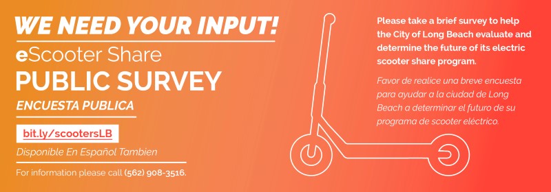 eScooterSurvey